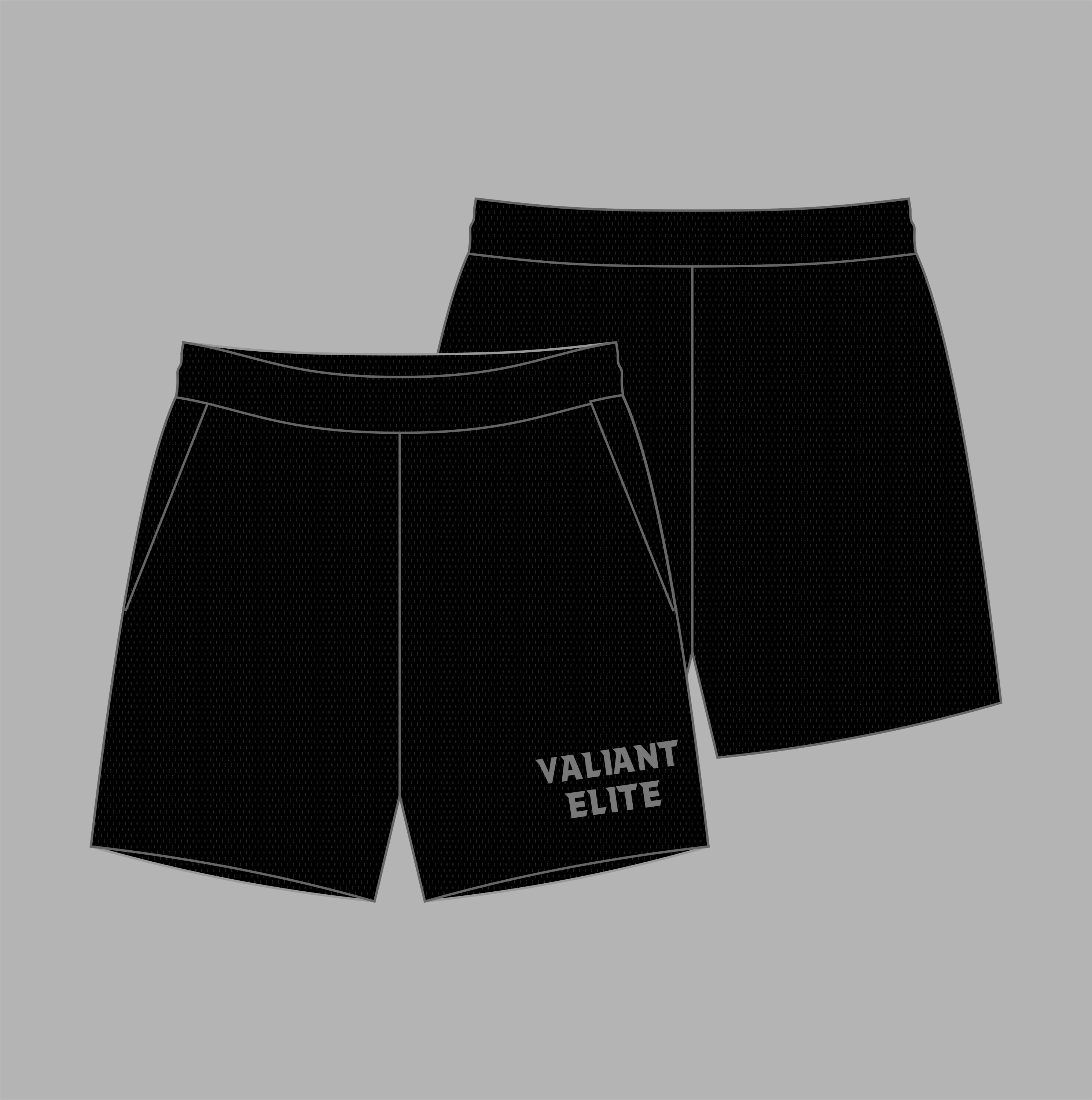 Valiant Elite Mesh Shorts (Black)